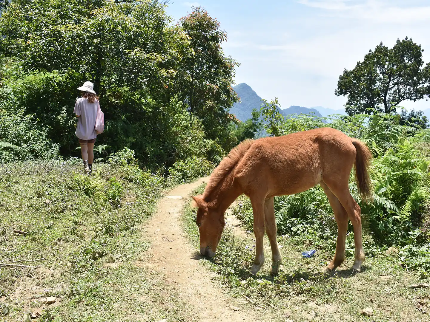 Trekking in Lai Chau